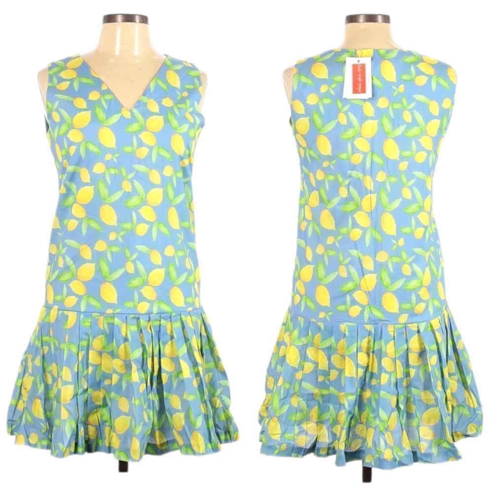 NWT BROOKE WRIGHT Lemon Print Drop Waist Pleated Cotton Dress M